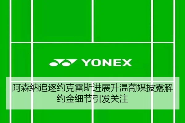 阿森纳追逐约克雷斯进展升温葡媒披露解约金细节引发关注