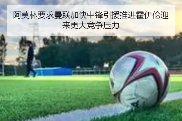 阿莫林要求曼联加快中锋引援推进霍伊伦迎来更大竞争压力